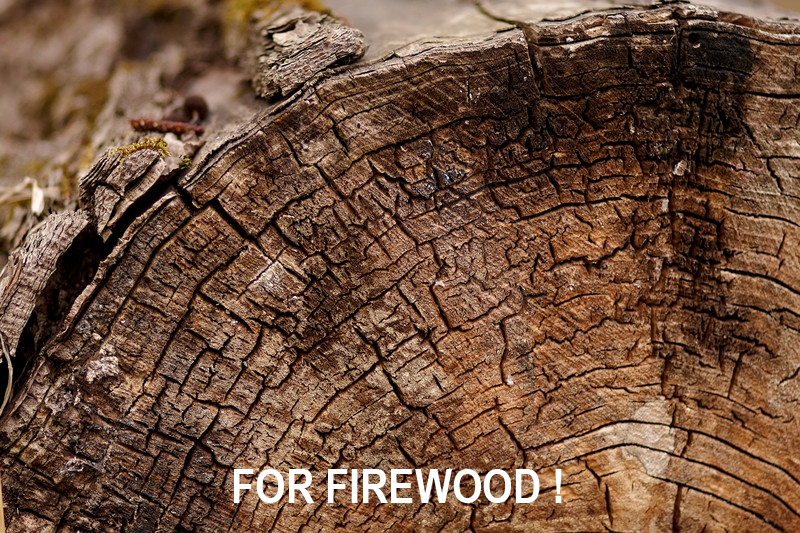 Preventive treatment of logs and sawn timber. Anti-checking, anti-splitting, anti-blue stain, anti-darkening. Ready to use. iBiotec BIO PROTECT 450. Wood treatment. Wood anti-checking. Wood anti-splitting. Wood anti-blue stain. Wood anti-darkening. Wood processing. Primary wood processing